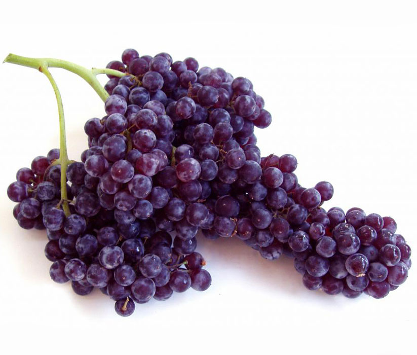 نهال انگور شامپاین